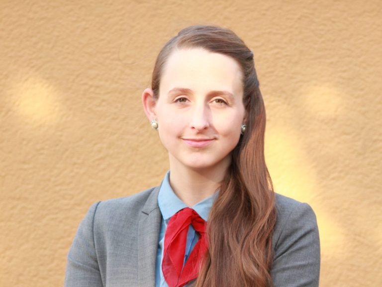 Ratsfrau Michaline Saxel die FRAKTION, die PARTEI Braunschweig