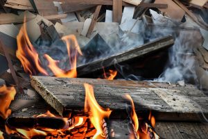 Start der Altholzverbrennung bei BS|Energy: Die FRAKTION – DIE LINKE., Volt und Die PARTEI hinterfragt die Einführung